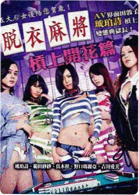山雀与铁轨海报